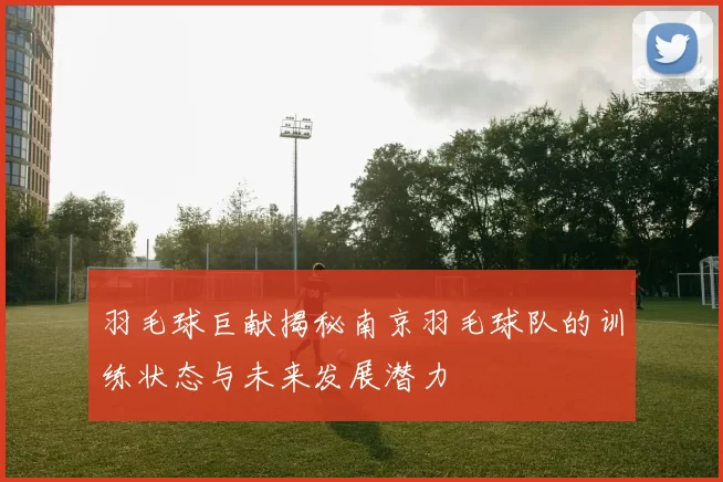 羽毛球巨献揭秘南京羽毛球队的训练状态与未来发展潜力